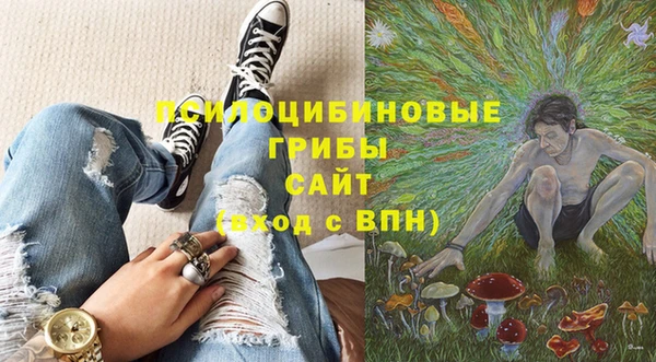 трава Абинск